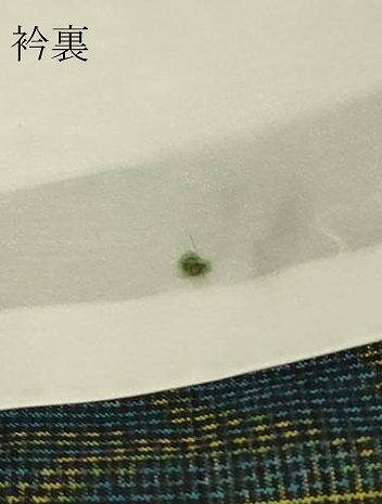 平和屋着物▽上質な紬　単衣　草花文　正絹　逸品　未使用　DABJ1073az