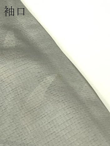 平和屋着物▽訪問着　友禅　無双　紗袷　紗×絽　草葉文　暈し染め　正絹　逸品　DABJ1080az