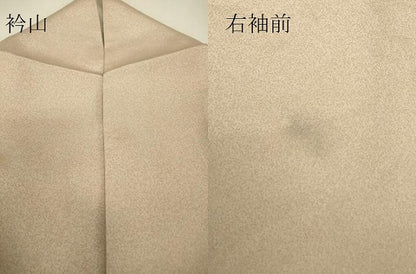 平和屋着物▽訪問着　単衣　刺繍　枝花文　暈し染め　金銀彩　正絹　逸品　DABJ1372az