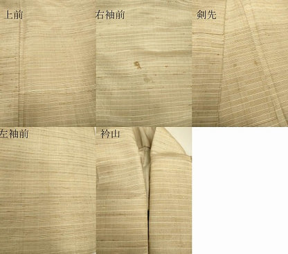 平和屋着物▽男性　単衣　縞　正絹　逸品　DABJ1373