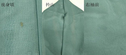 平和屋着物▽訪問着　無双　紗袷　紗×絽　草花文　銀彩　正絹　逸品　DABJ1831az