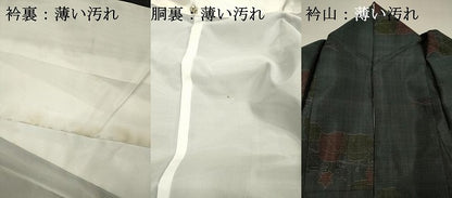 平和屋着物■本場大島紬　草葉文　正絹　逸品　DABJ2543ya