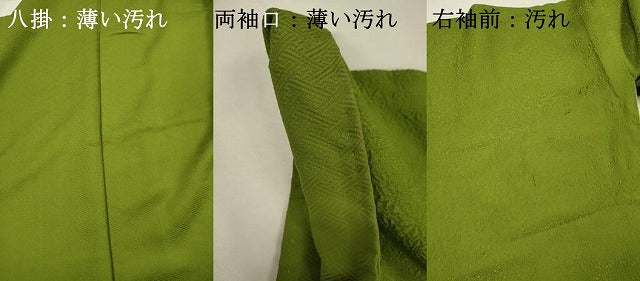 平和屋着物■中国三大刺繍　スワトウ刺繍　汕頭刺繍　総刺繍　無地絵羽訪問着　地紙花文　草色　正絹　逸品　DABJ2639ya