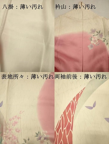 平和屋着物■豪華振袖　草花文　牡丹　金銀彩　正絹　逸品　DABJ2759ya