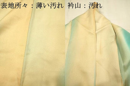 平和屋着物■訪問着　草花文　暈し染め　正絹　逸品　DABJ2761ya
