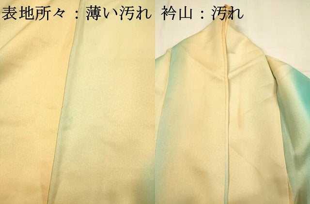 平和屋着物■訪問着　草花文　暈し染め　正絹　逸品　DABJ2761ya