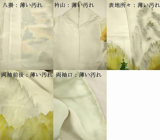 平和屋着物■訪問着　手描き　風景文　暈し染め　正絹　逸品　DABJ2762ya