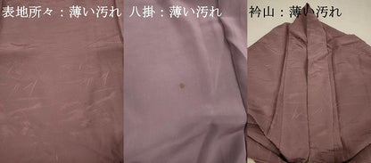 平和屋着物■上質な色無地　芝草地紋　梅鼠色　正絹　逸品　DABJ2777ya