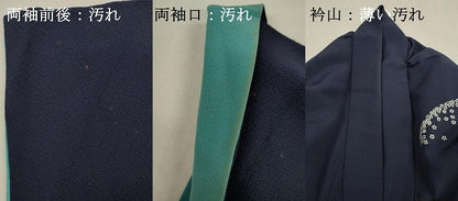 平和屋着物■男性　訪問着　刺繍　舞花文　金彩　正絹　逸品　DABJ2793ya
