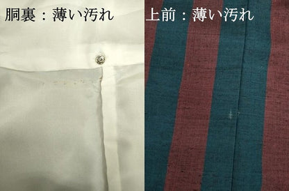 平和屋着物■結城紬　80亀甲　間道　飛び亀甲柄　正絹　逸品　DABJ2819ya