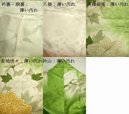 平和屋着物■豪華振袖　駒刺繍　牡丹　暈し染め　金彩　正絹　逸品　DABJ2851ya
