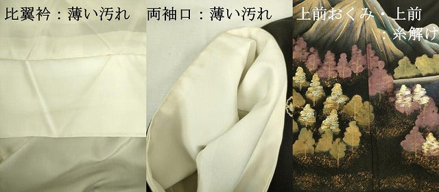 平和屋着物■豪華黒留袖　風景文　金銀糸　正絹　逸品　DABJ2856ya