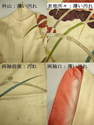 平和屋着物■豪華振袖　駒刺繍　露芝雲文　金彩　正絹　逸品　DABJ2912ya