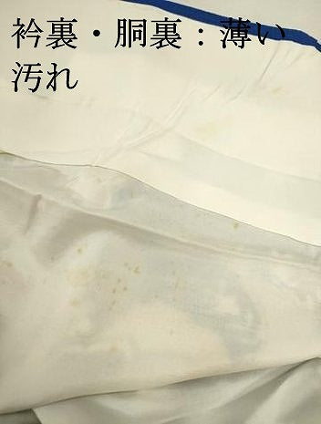 平和屋着物■訪問着　草花文　金彩　正絹　逸品　DABJ2926ya