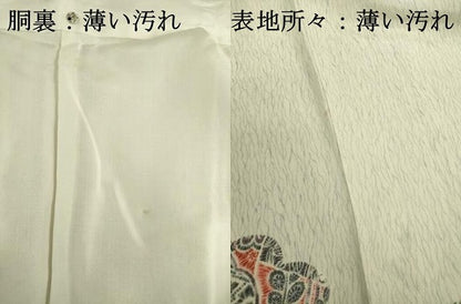 平和屋着物■訪問着　作家物　草花文　鬼しぼ縮緬　正絹　逸品　DABJ2958ya