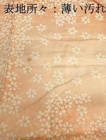 平和屋着物■上質な小紋　舞花文　暈し染め　正絹　逸品　DABJ2961ya