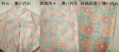平和屋着物■上質な小紋　菊尽くし　正絹　逸品　DABJ2963ya