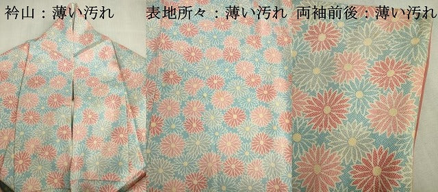 平和屋着物■上質な小紋　菊尽くし　正絹　逸品　DABJ2963ya