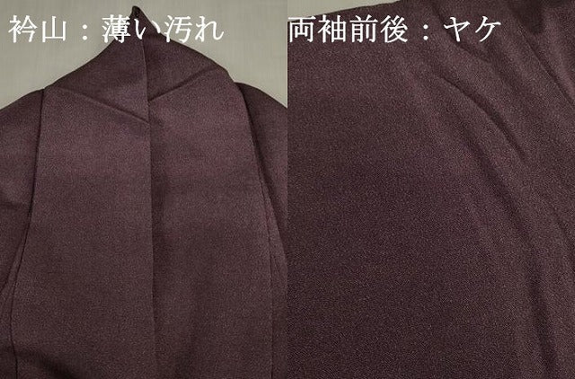 平和屋着物■江戸小紋　草木染　鮫小紋柄　鬼しぼ縮緬　正絹　逸品　DABJ2968ya