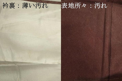 平和屋着物■江戸小紋　抽象文様　正絹　逸品DABJ2978ya