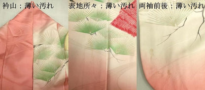 平和屋着物■豪華振袖　駒刺繍　絞り　扇面花松葉文　枝梅　暈し染め　金彩　正絹　逸品　DABJ2989ya