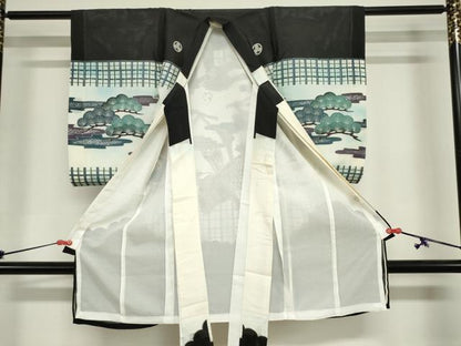 平和屋着物＊夏物　お宮参り　男の子　祝着　産着　初着　のしめ　絽　鷹　鷲　兜　銀彩　逸品　DABJ3016ea