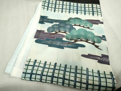 平和屋着物＊夏物　お宮参り　男の子　祝着　産着　初着　のしめ　絽　鷹　鷲　兜　銀彩　逸品　DABJ3016ea