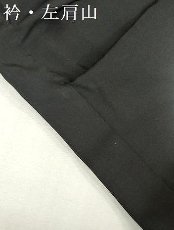 平和屋着物[]お宮参り　女の子　祝着　産着　初着　のしめ　花車舞蝶文　暈し染め　金彩　逸品　DABJ3024ea