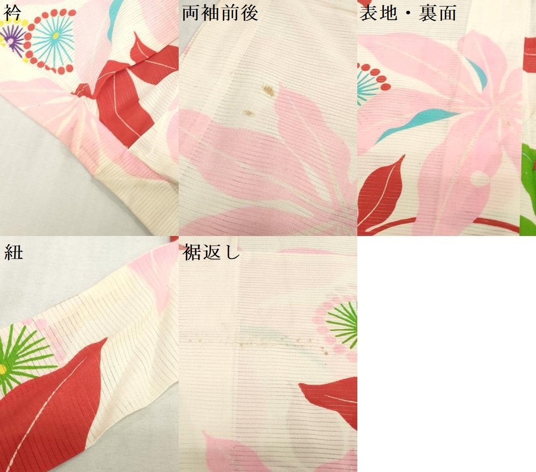 平和屋着物＊夏物　お宮参り　女の子　祝着　産着　初着　のしめ　絽　洋花文　逸品　DABJ3035ea