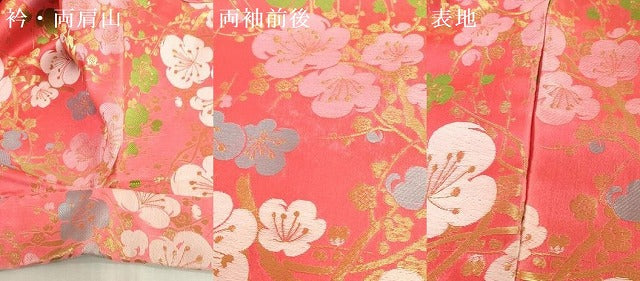 平和屋着物∵女の子　十三参り　子供　舞梅文　金糸　胴抜き仕立て　DABJ3070ea