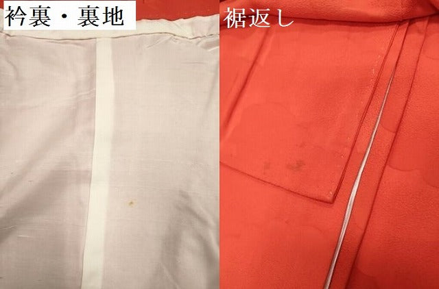 平和屋着物[]お宮参り　女の子　祝着　産着　初着　のしめ　雲地紋　丹色　逸品　DABJ3147ea