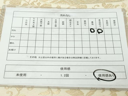 平和屋着物◎西陣　六通柄袋帯　霞取り亀甲花鳥文　金糸　正絹　逸品　DABJ3458ea