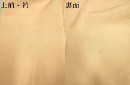 平和屋着物▽上質な色無地　単衣　洒落柿色　正絹　逸品　DABJ3522du