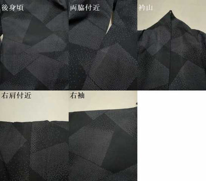 平和屋着物▽本塩沢　単衣　110亀甲　切嵌文様　正絹　逸品　DABJ3531du