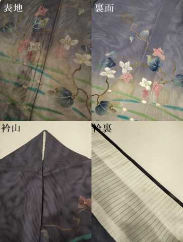 平和屋着物▽訪問着　無双　紗袷　紗×紗　夏虫　枝花文　暈し染め　金彩　正絹　逸品　DABJ3734du