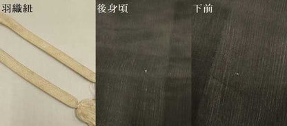 平和屋着物▽羽織　スリーシーズン　春夏秋　塵除け　黒地　正絹　逸品　DABJ3869du