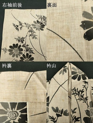 平和屋着物∴夏物　浴衣　注染　枝花文　綿　逸品　DABJ4337cd