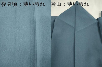 平和屋着物■本草木染作家　瑞寶　色無地　勿忘草色　正絹　逸品　DABJ4356cd