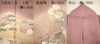 平和屋着物■豪華色留袖　作家物　花鳥文　暈し染め　金彩　正絹　逸品　DABJ4363cd