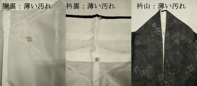 平和屋着物■本場大島紬　雪輪花文　正絹　逸品　DABJ4365cd