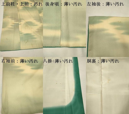 平和屋着物■上質な小紋　霞文　暈し染め　正絹　逸品　DABJ4381cd