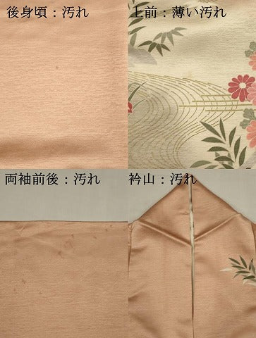 平和屋着物■上質な小紋　風景籬花文　枝梅　暈し染め　金彩　ロング丈　正絹　逸品　DABJ4384cd