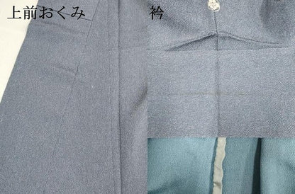 平和屋着物▽江戸小紋　単衣　鮫小紋柄　鬼しぼ縮緬　正絹　逸品　DABJ4465cd