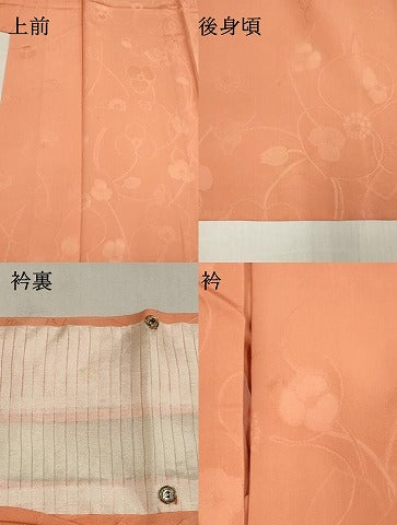 平和屋着物▽上質な色無地　単衣　枝花地紋　宍色　正絹　逸品　DABJ4499cd