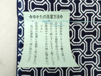 平和屋着物＊夏物　浴衣　反物　着尺　注染　幾何学文　綿　逸品　未使用　DABJ4535zy