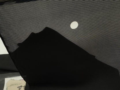 平和屋着物＊夏物　黒紋付　黒生地　反物　着尺　絽　奄美大島泥下染　松元邦典作　証紙付き　逸品　未使用　DABJ4694zy