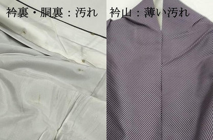 平和屋着物■上質な紬　十字絣　高島屋扱い　正絹　逸品　DABJ5014qa