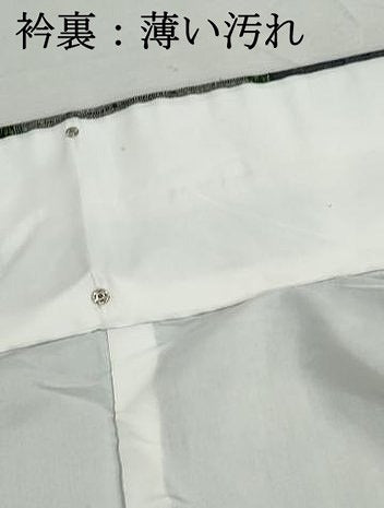 平和屋着物■上質な紬　亀甲文　正絹　逸品　DABJ5022qa
