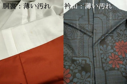 平和屋着物■本場大島紬　7マルキ　幾何学花文　正絹　逸品　DABJ5034qa