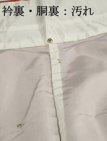 平和屋着物■上質な色無地　黄櫨染色　正絹　逸品　DABJ5042qa